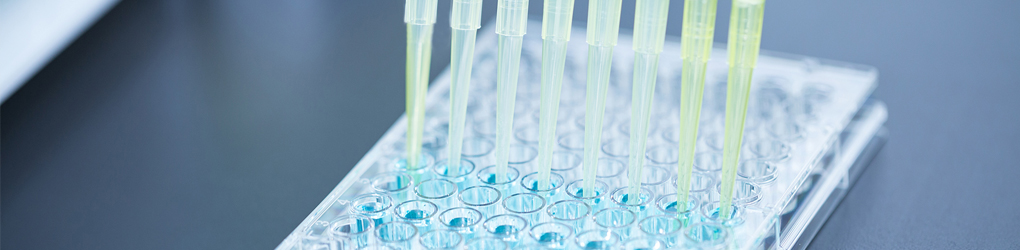 企業(yè)風(fēng)采