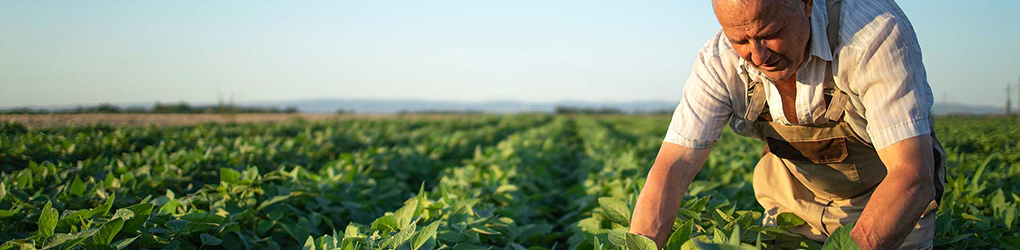 企業(yè)榮譽(yù)